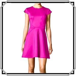 Ted Baker London Skater Dress (EUC)